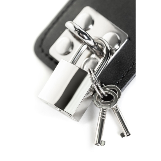 Ошейник с поводком ToyFa Theatre